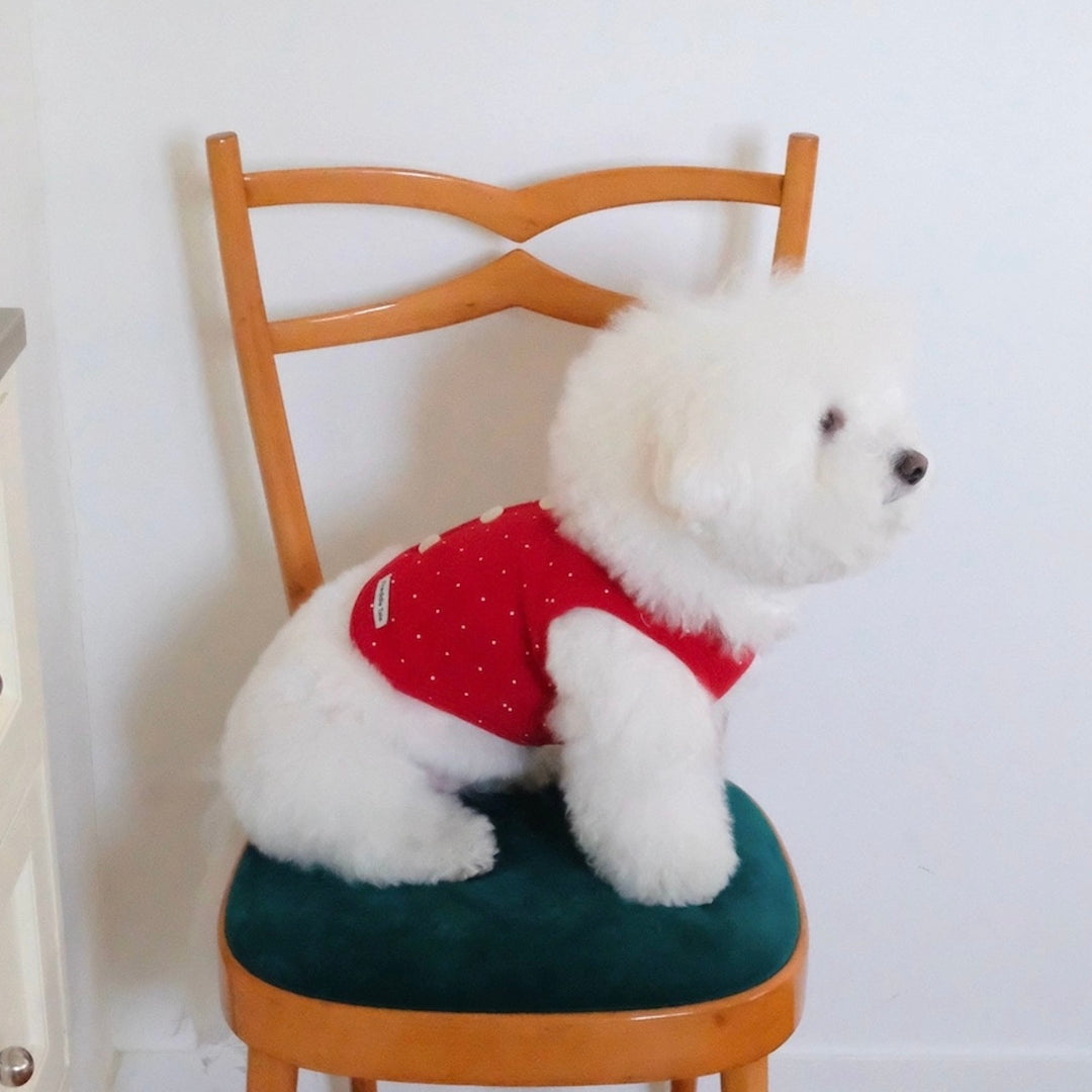 ※予約販売【FREDDIE TALE】Pipi Vest（Red）