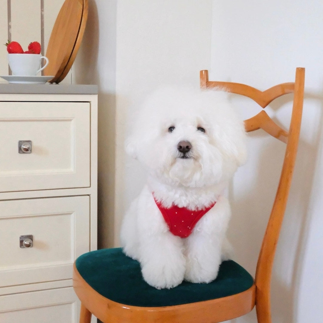 ※予約販売【FREDDIE TALE】Pipi Vest（Red）