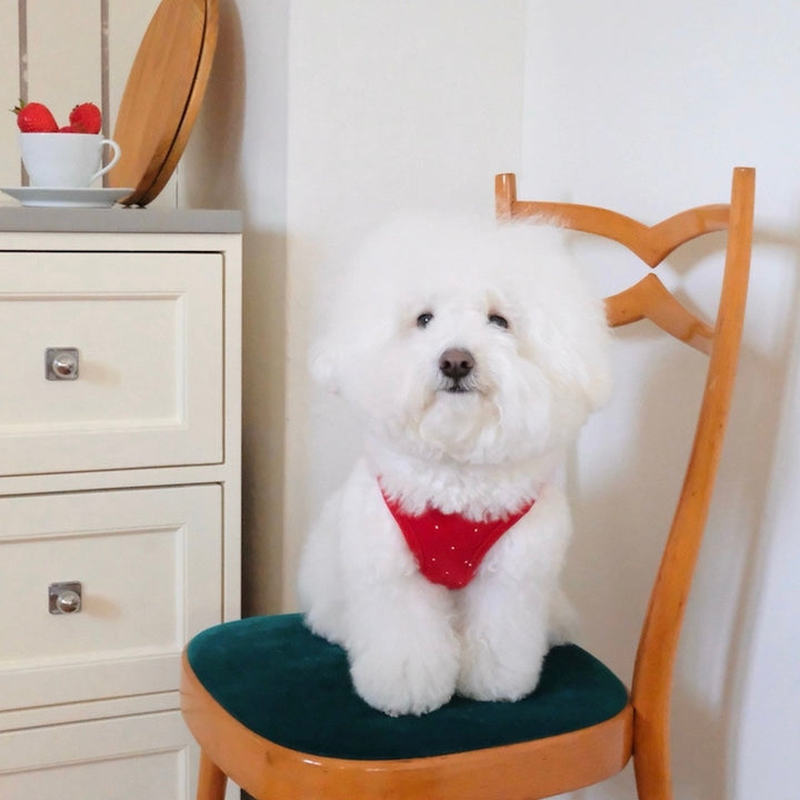 ※予約販売【FREDDIE TALE】Pipi Vest（Red）