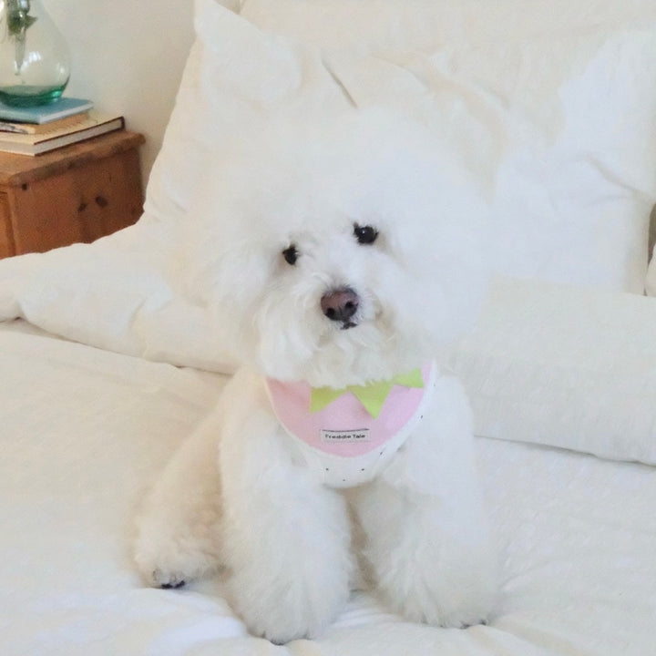 ※予約販売【FREDDIE TALE】Pipi Vest（White）