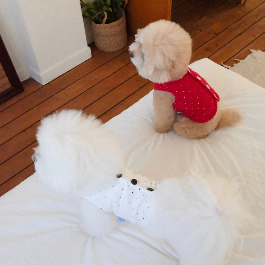 ※予約販売【FREDDIE TALE】Pipi Vest（White）