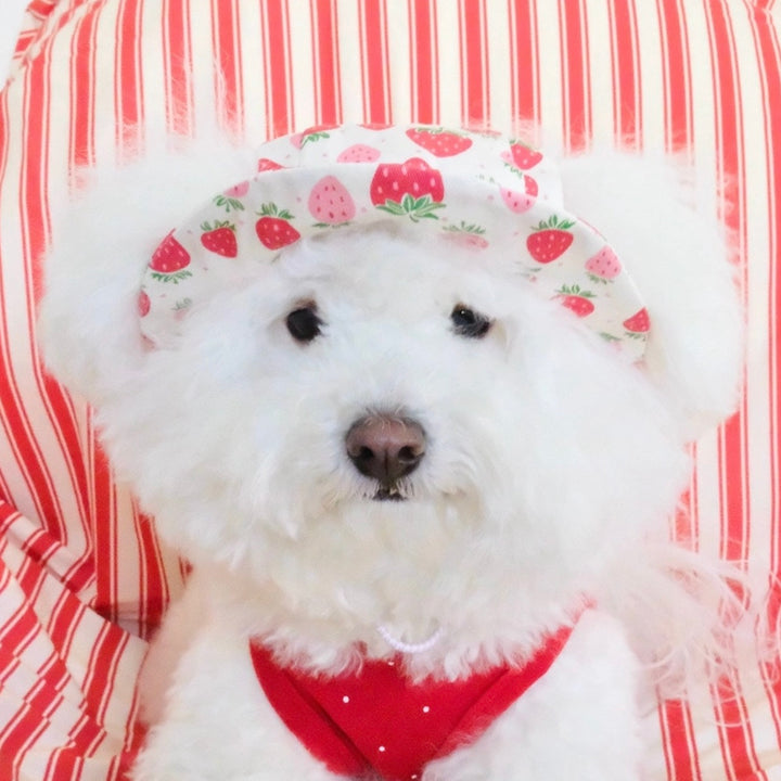 即納【FREDDIE TALE】Strawberry Bucket Hat
