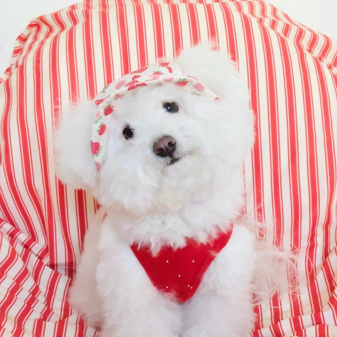 即納【FREDDIE TALE】Strawberry Bucket Hat