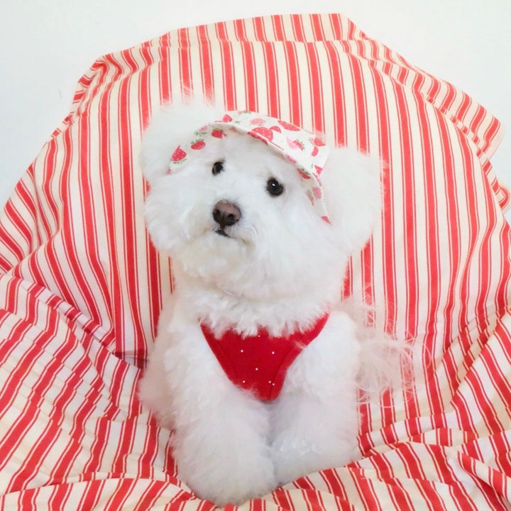 即納【FREDDIE TALE】Strawberry Bucket Hat