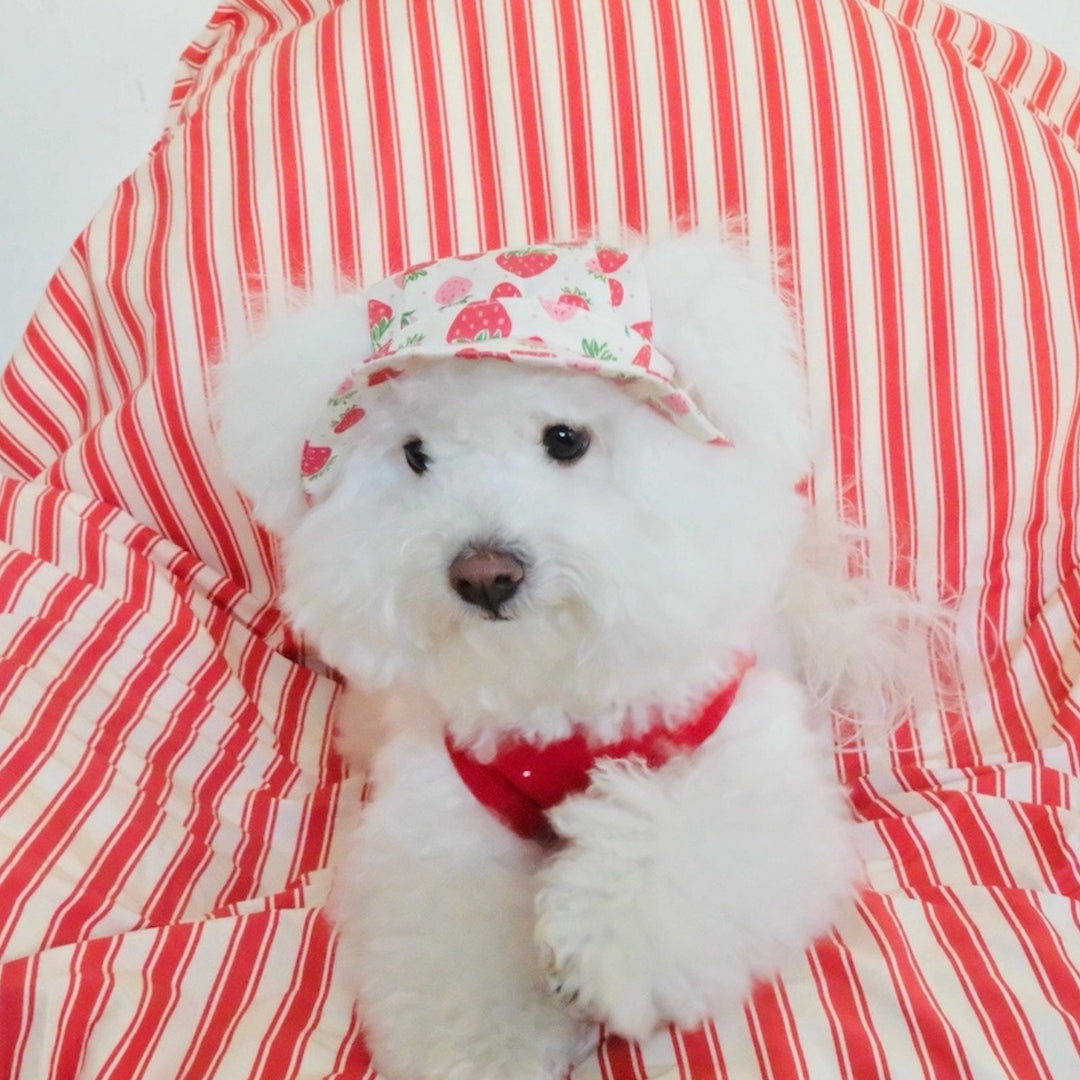 即納【FREDDIE TALE】Strawberry Bucket Hat