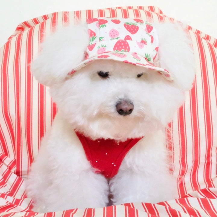 即納【FREDDIE TALE】Strawberry Bucket Hat