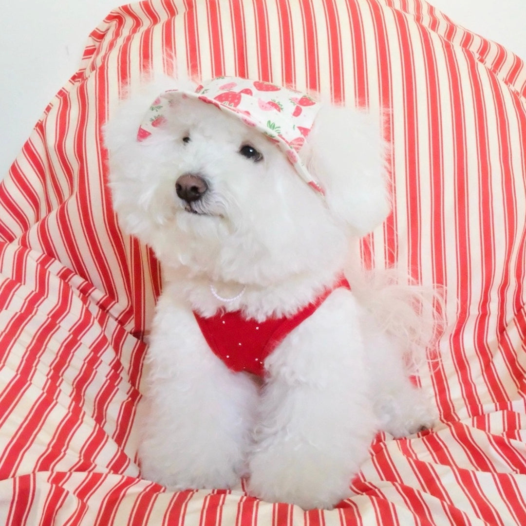 即納【FREDDIE TALE】Strawberry Bucket Hat