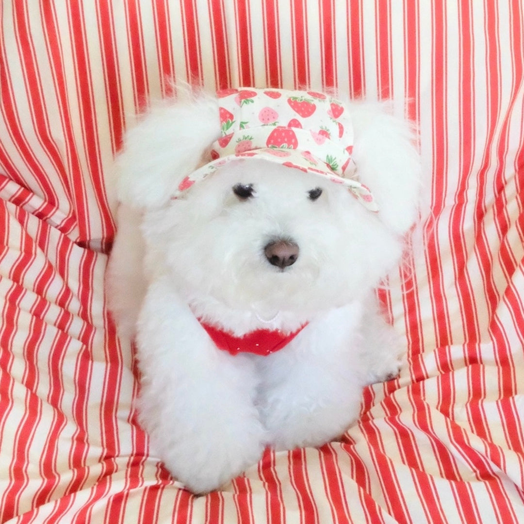 即納【FREDDIE TALE】Strawberry Bucket Hat