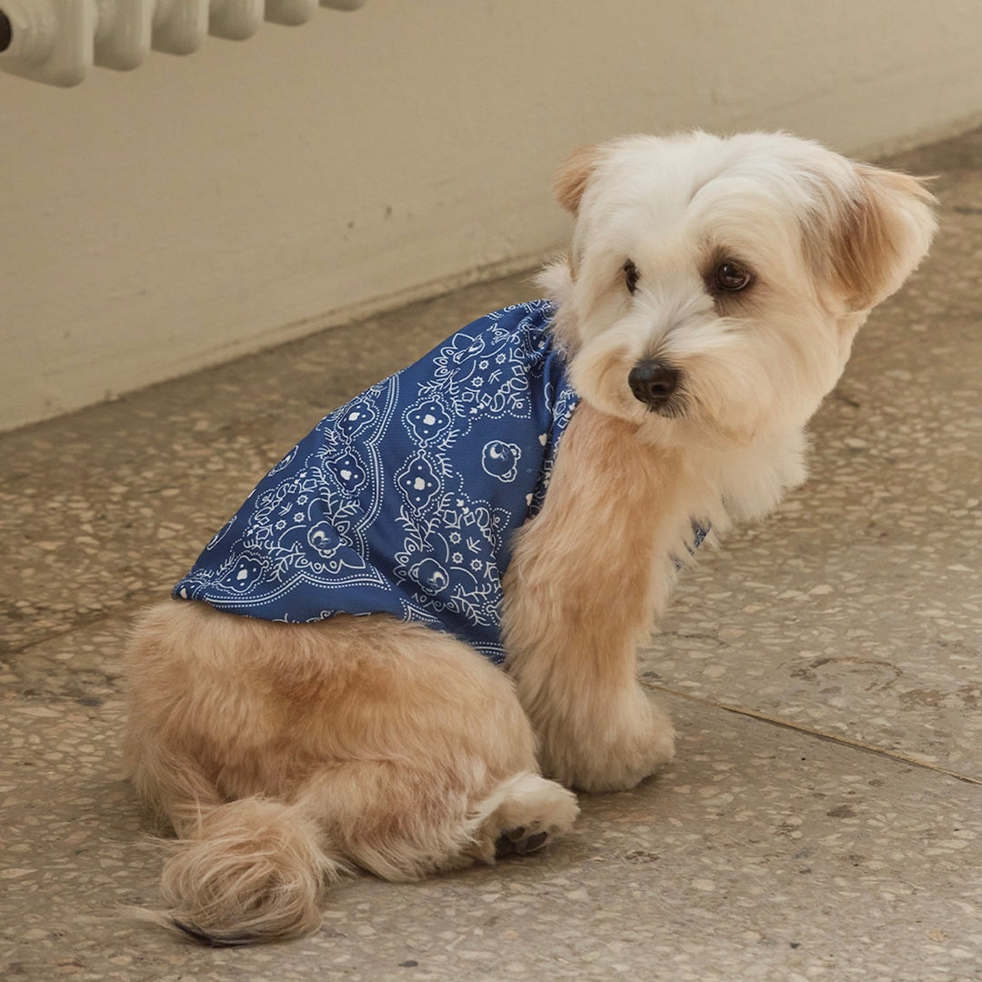 即納【andblank】Joy Bear Bandana Bug Guard Cooling Sleeveless