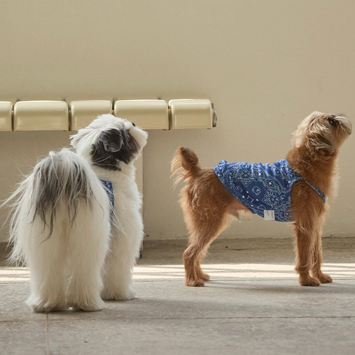 即納【andblank】Joy Bear Bandana Bug Guard Cooling Sleeveless