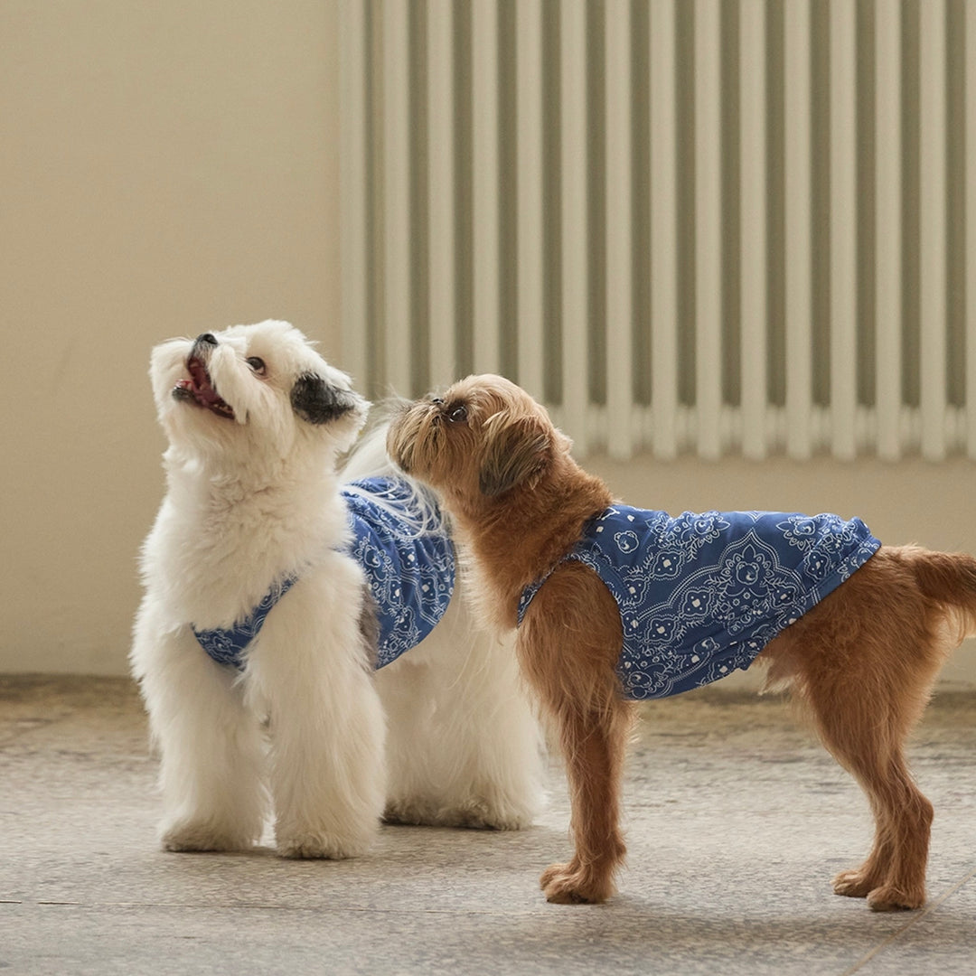 即納【andblank】Joy Bear Bandana Bug Guard Cooling Sleeveless