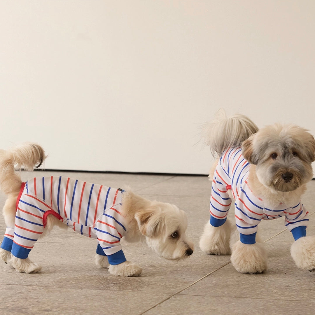 即納【andblank】Stripe Bug Guard Cooling All-in-one