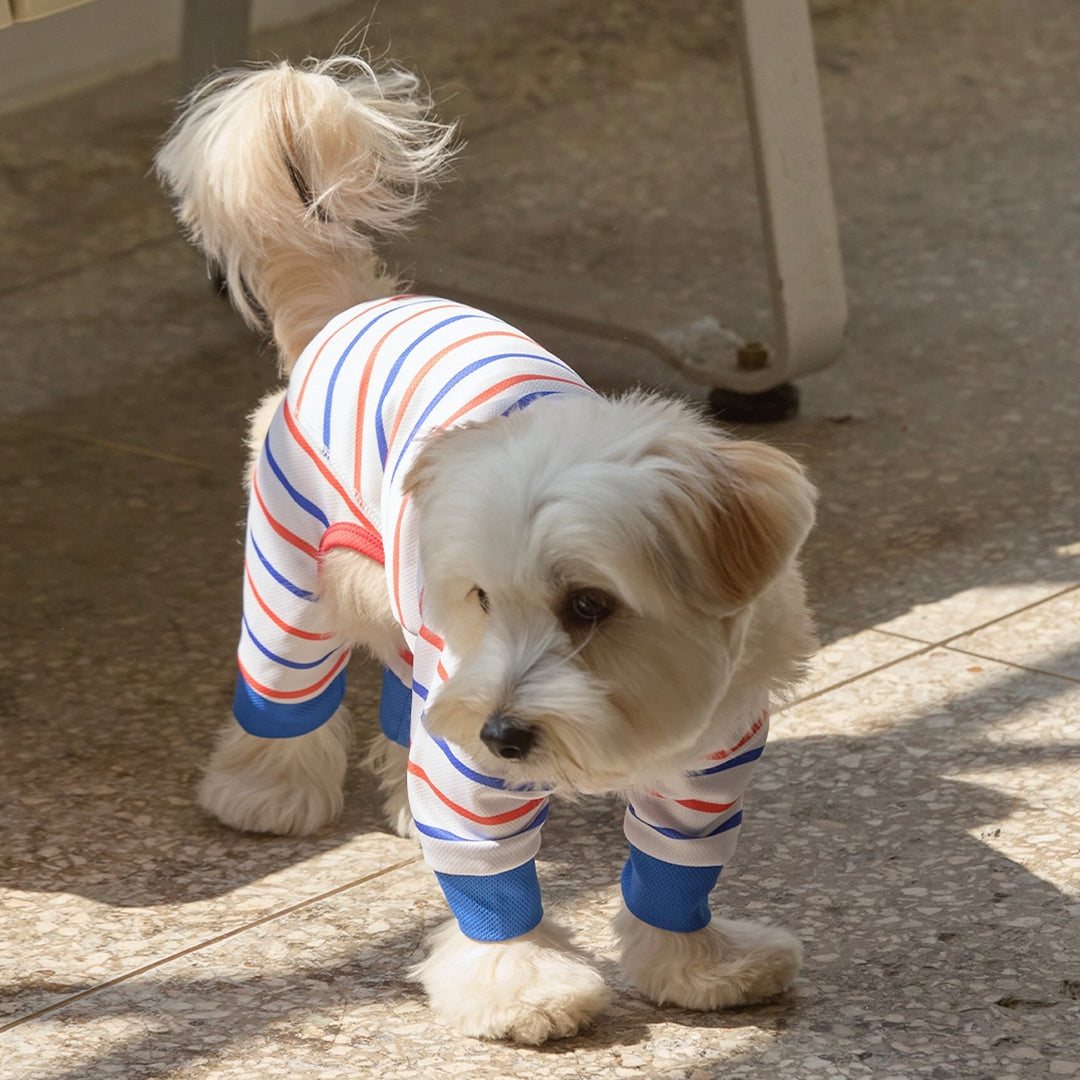 即納【andblank】Stripe Bug Guard Cooling All-in-one