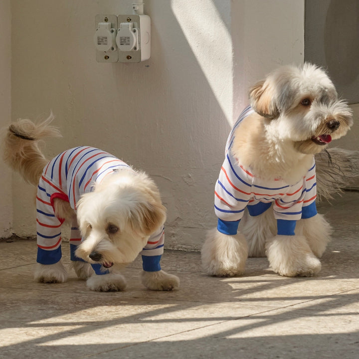 即納【andblank】Stripe Bug Guard Cooling All-in-one