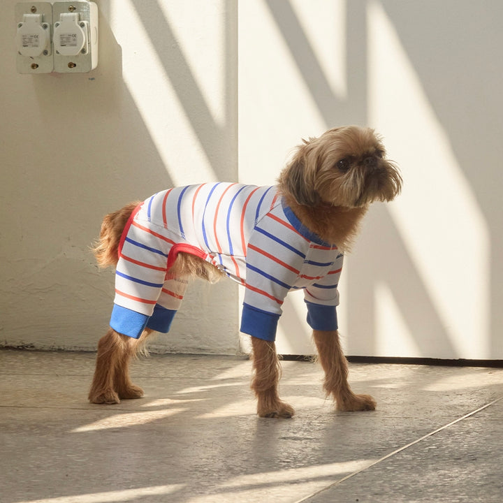 即納【andblank】Stripe Bug Guard Cooling All-in-one