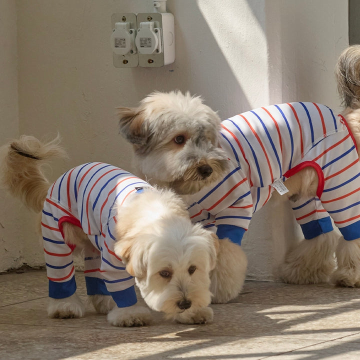 即納【andblank】Stripe Bug Guard Cooling All-in-one