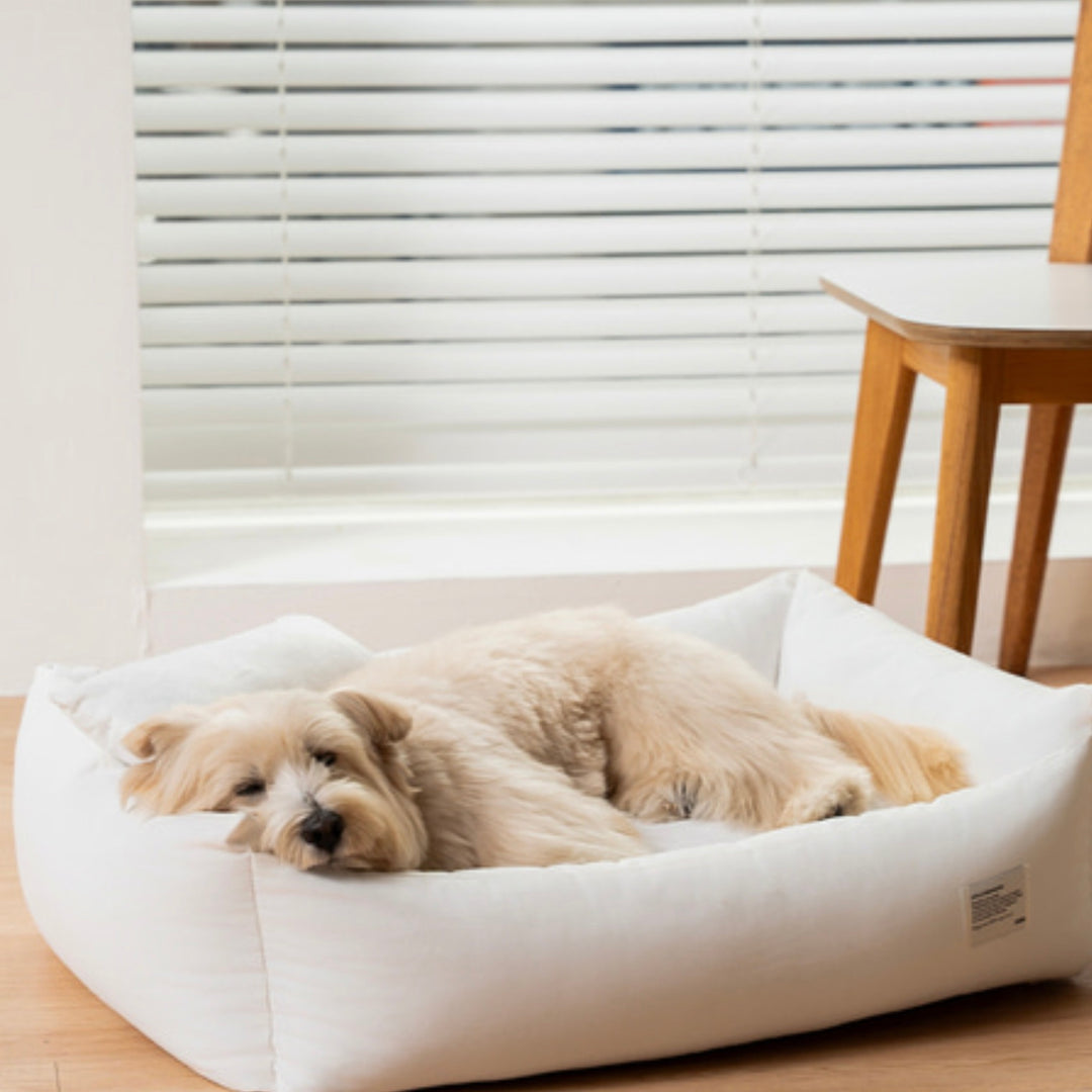 ※予約販売【Chiot】Maison Bumper Bed Cushion（4color）