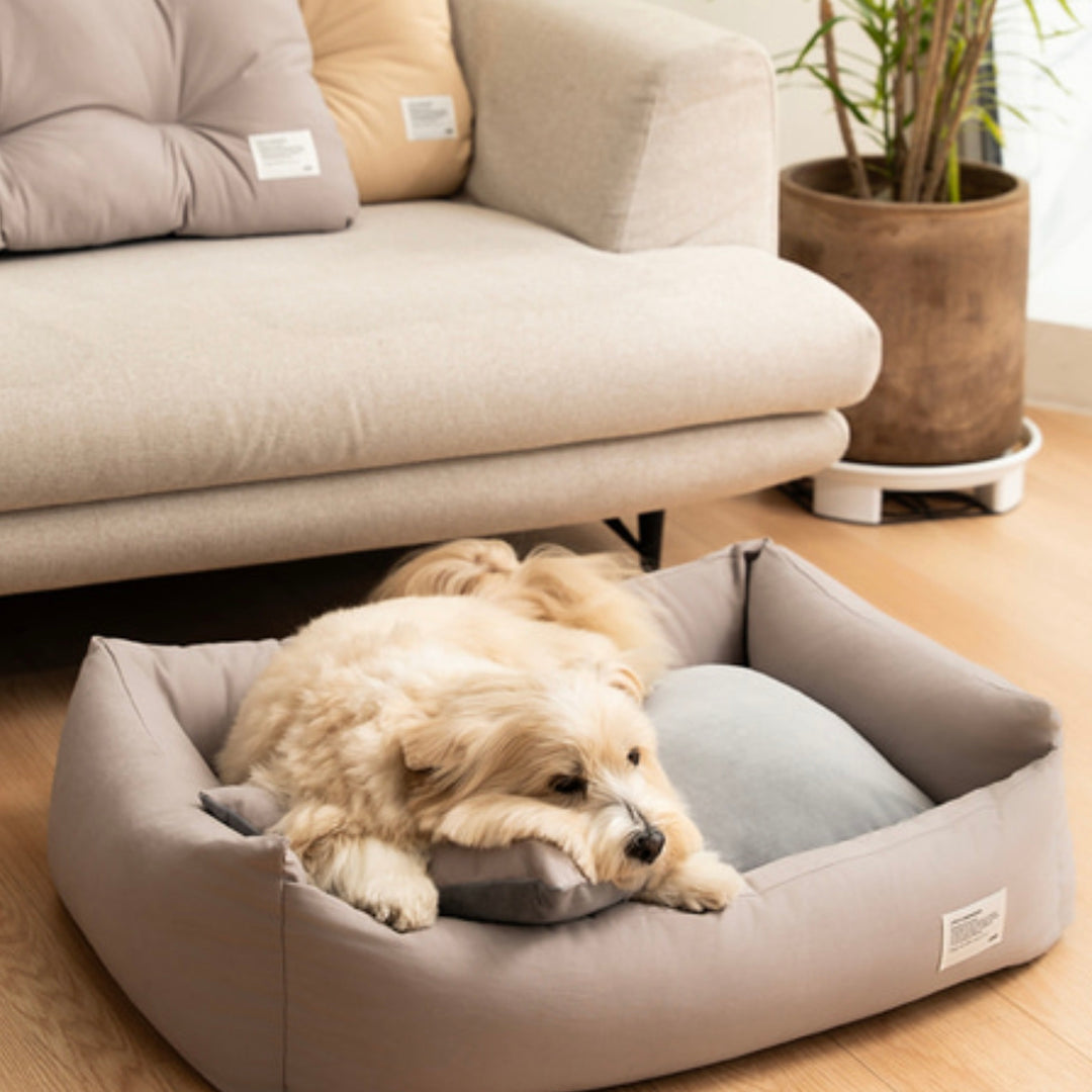 ※予約販売【Chiot】Maison Bumper Bed Cushion（4color）
