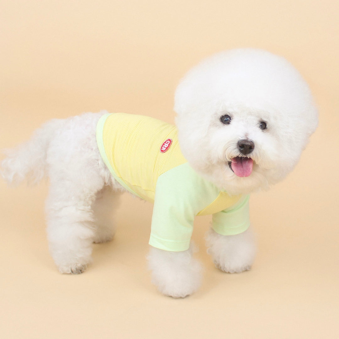 ※予約販売【CRR】Bebe Raglan Tee（Lemon）