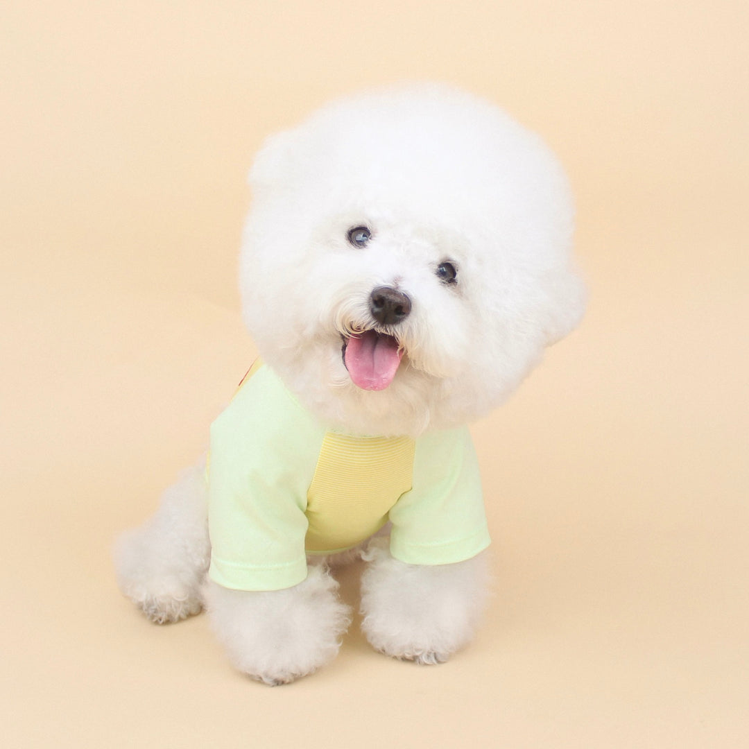 ※予約販売【CRR】Bebe Raglan Tee（Lemon）