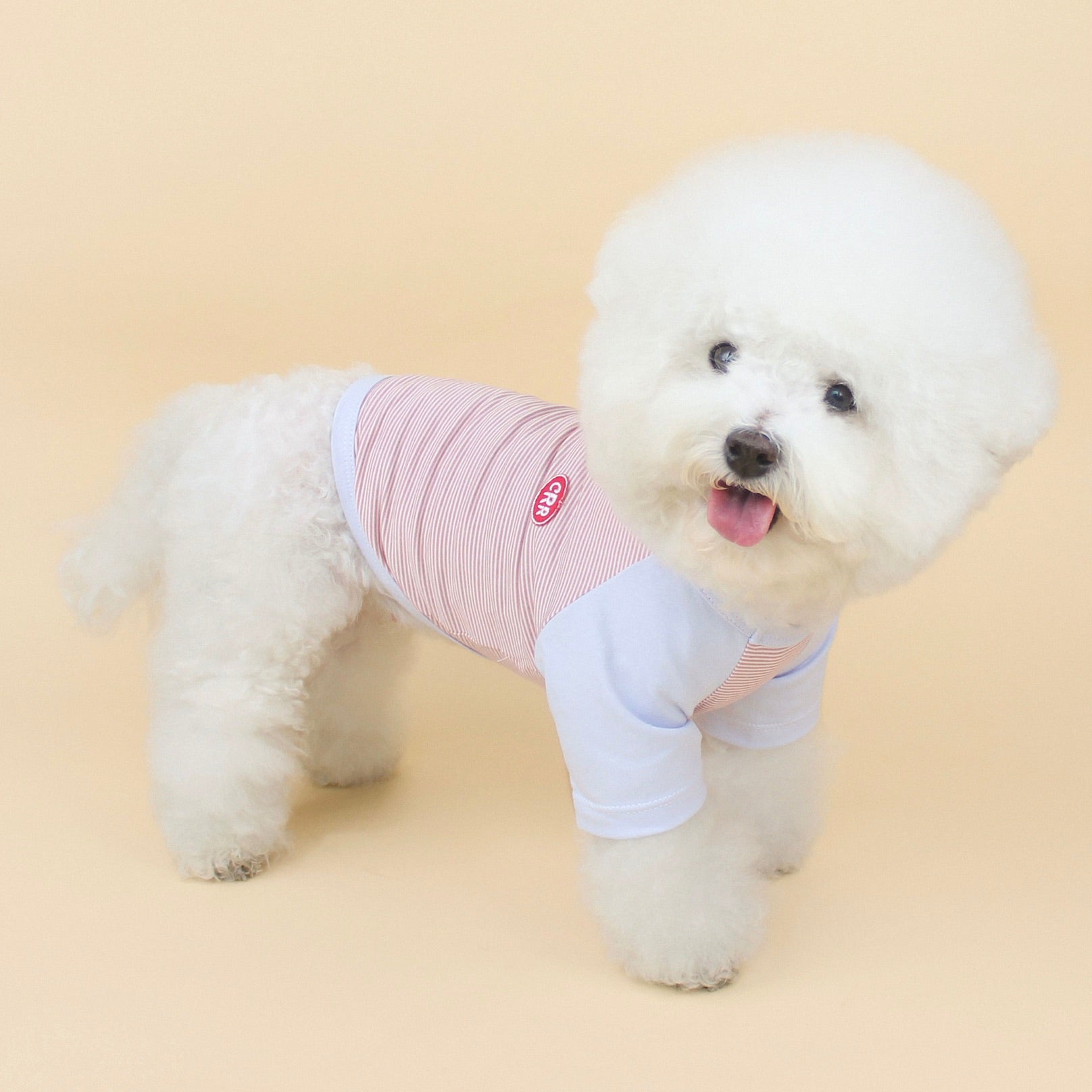 海外犬服 高品質なインポートのドッグウェア通販 