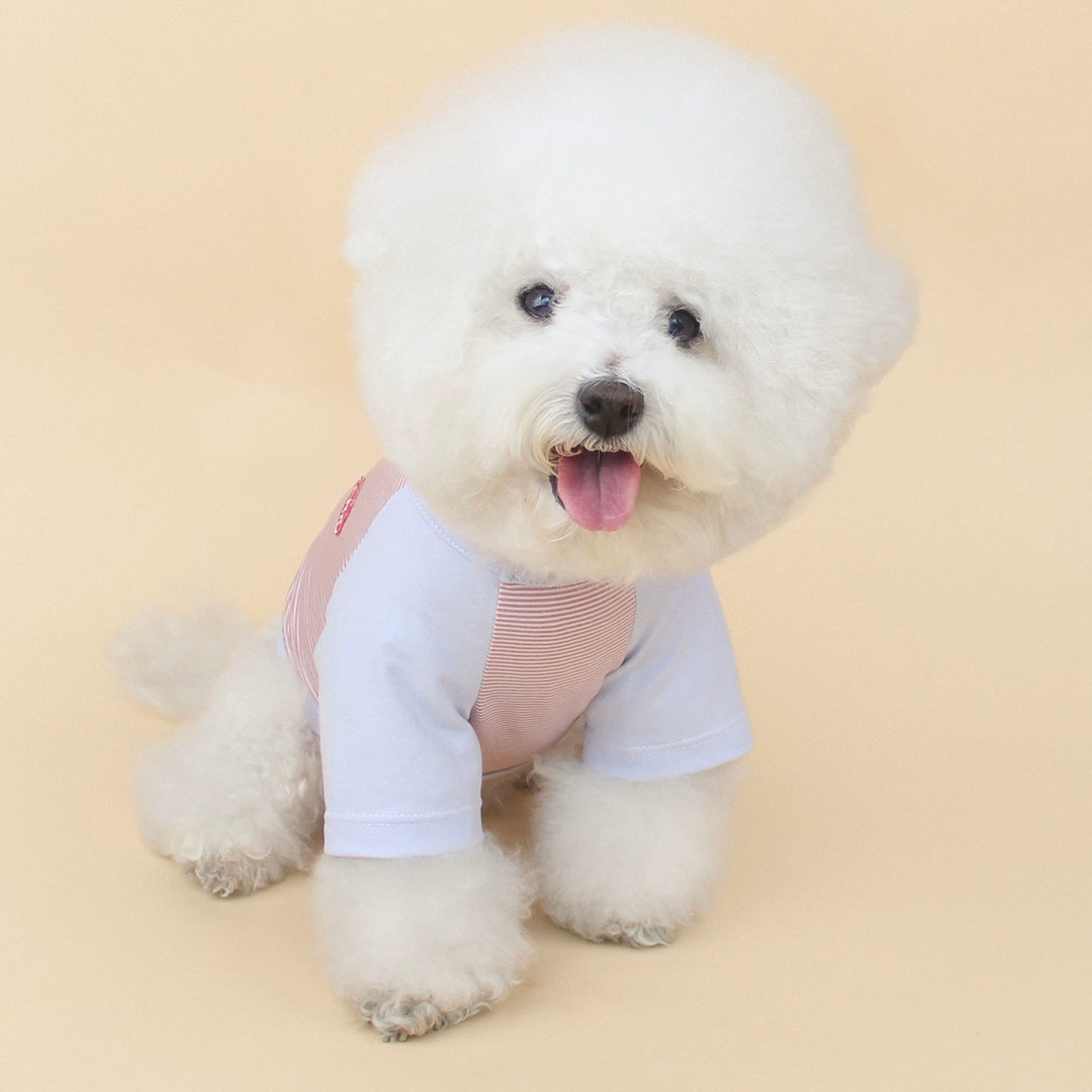 ※予約販売【CRR】Bebe Raglan Tee（Plum）