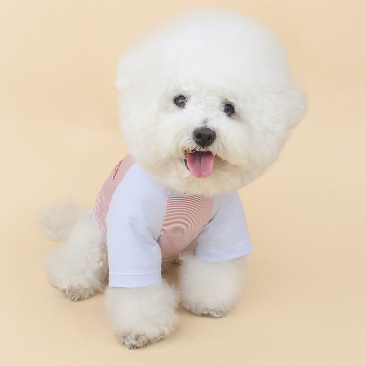 ※予約販売【CRR】Bebe Raglan Tee（Plum）
