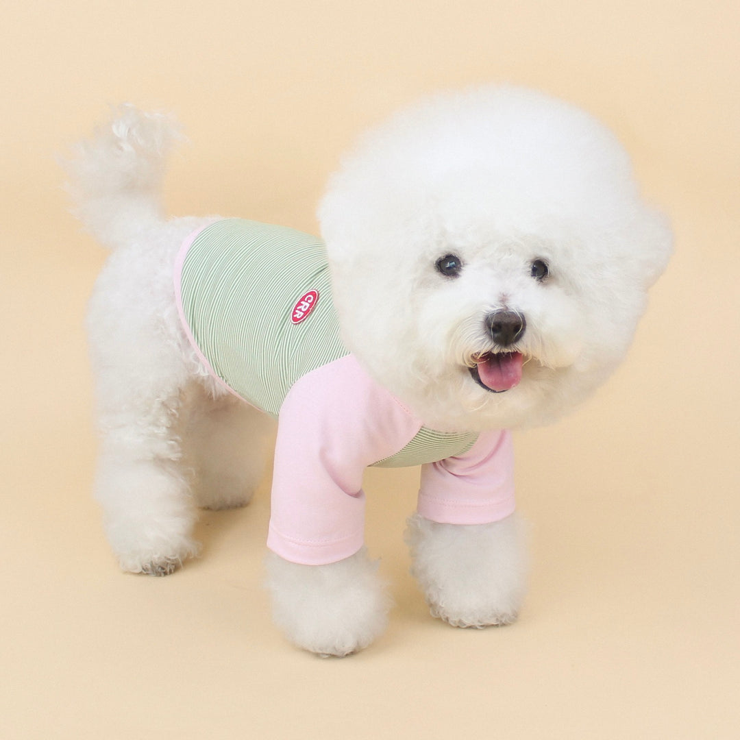 ※予約販売【CRR】Bebe Raglan Tee（Olive）