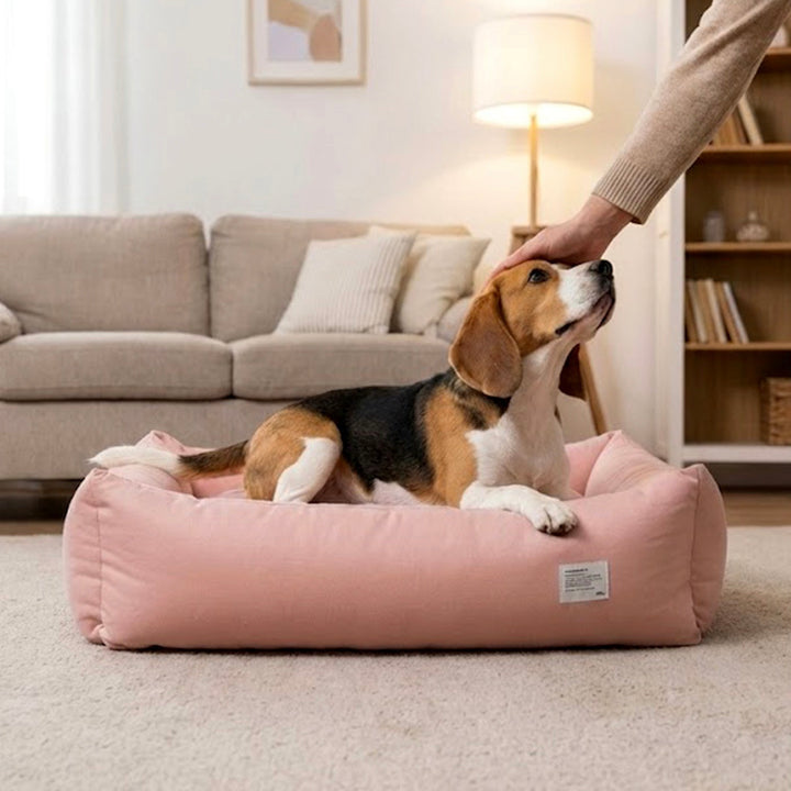 ※予約販売【Chiot】Maison Bumper Bed Cushion（4color）