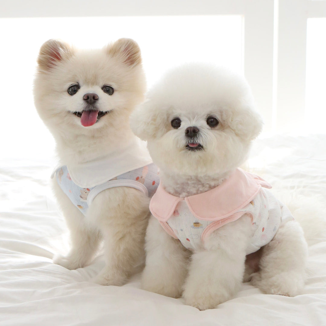 ※予約販売【ITS DOG】Apple Bear collared shirt（2 Color）