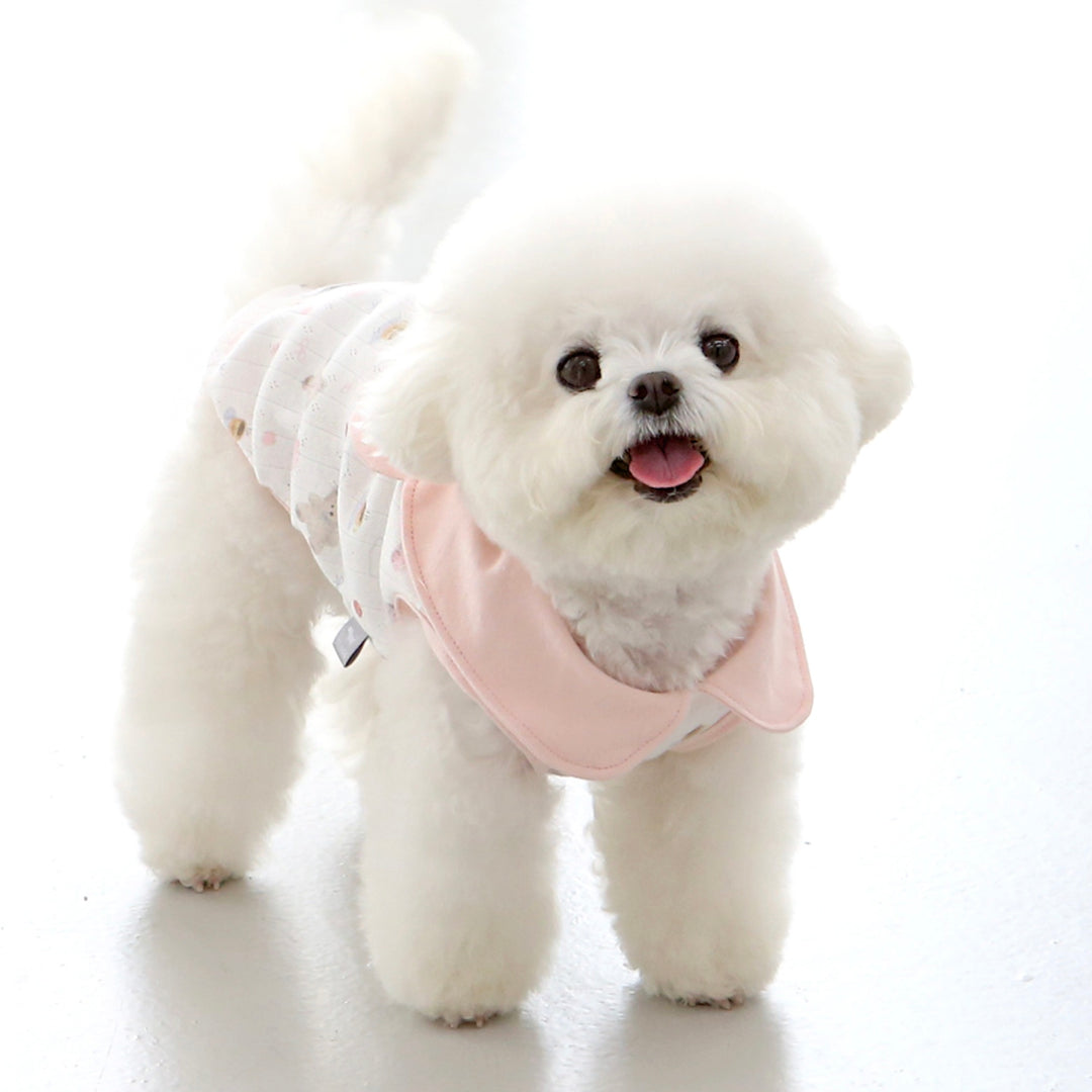 ※予約販売【ITS DOG】Apple Bear collared shirt（2 Color）