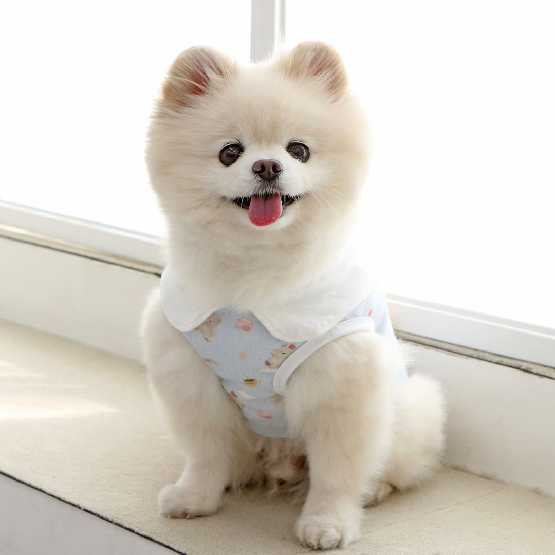 ※予約販売【ITS DOG】Apple Bear collared shirt（2 Color）
