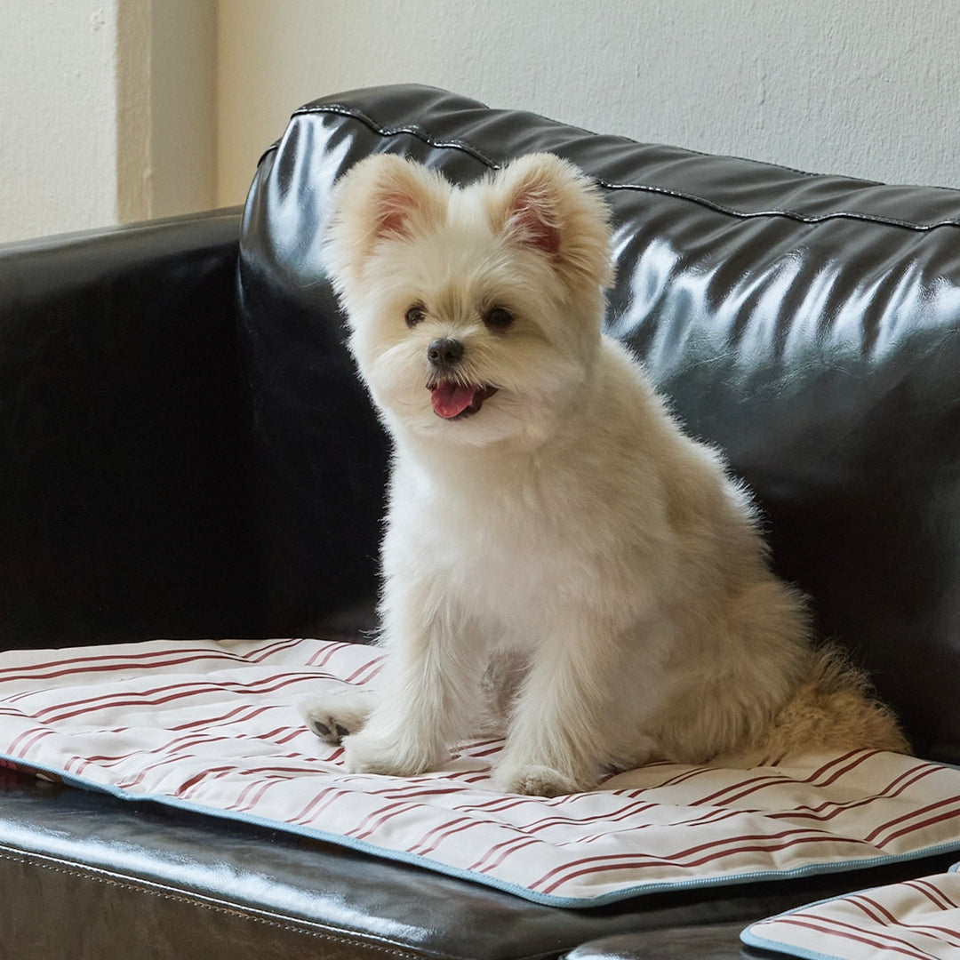 ※予約販売【andblank】Joy Bear Stripe Reversible Cool Mat