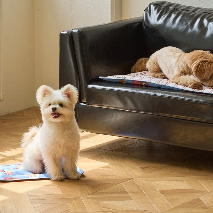 ※予約販売【andblank】Joy Bear Stripe Reversible Cool Mat