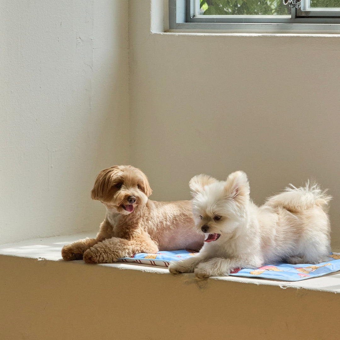 ※予約販売【andblank】Joy Bear Stripe Reversible Cool Mat