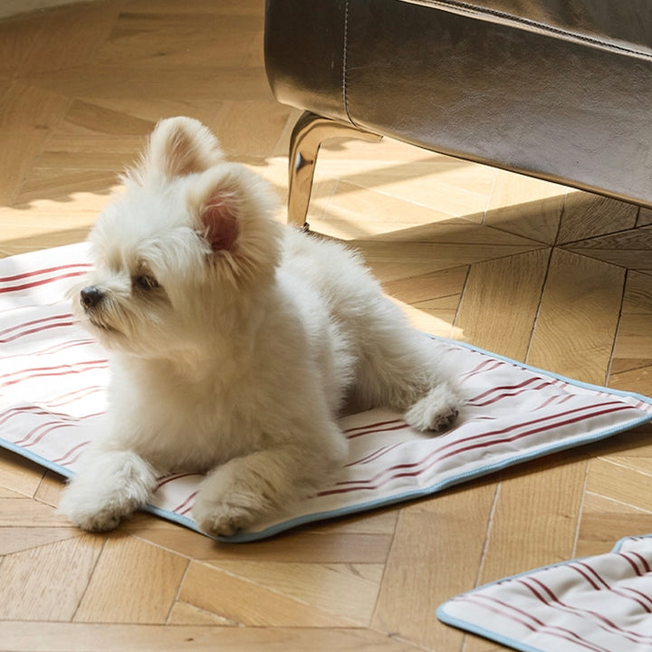 ※予約販売【andblank】Joy Bear Stripe Reversible Cool Mat