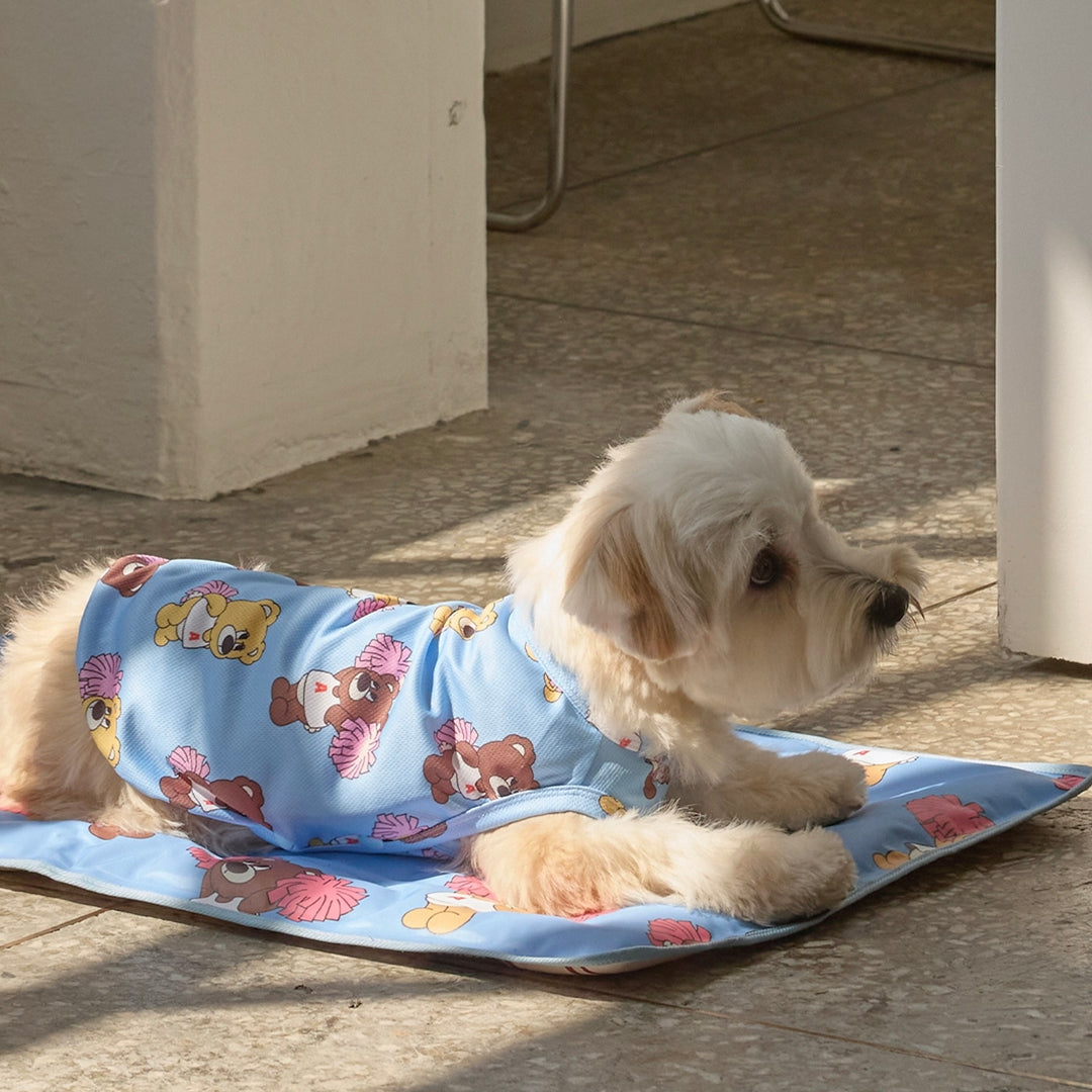 ※予約販売【andblank】Joy Bear Stripe Reversible Cool Mat