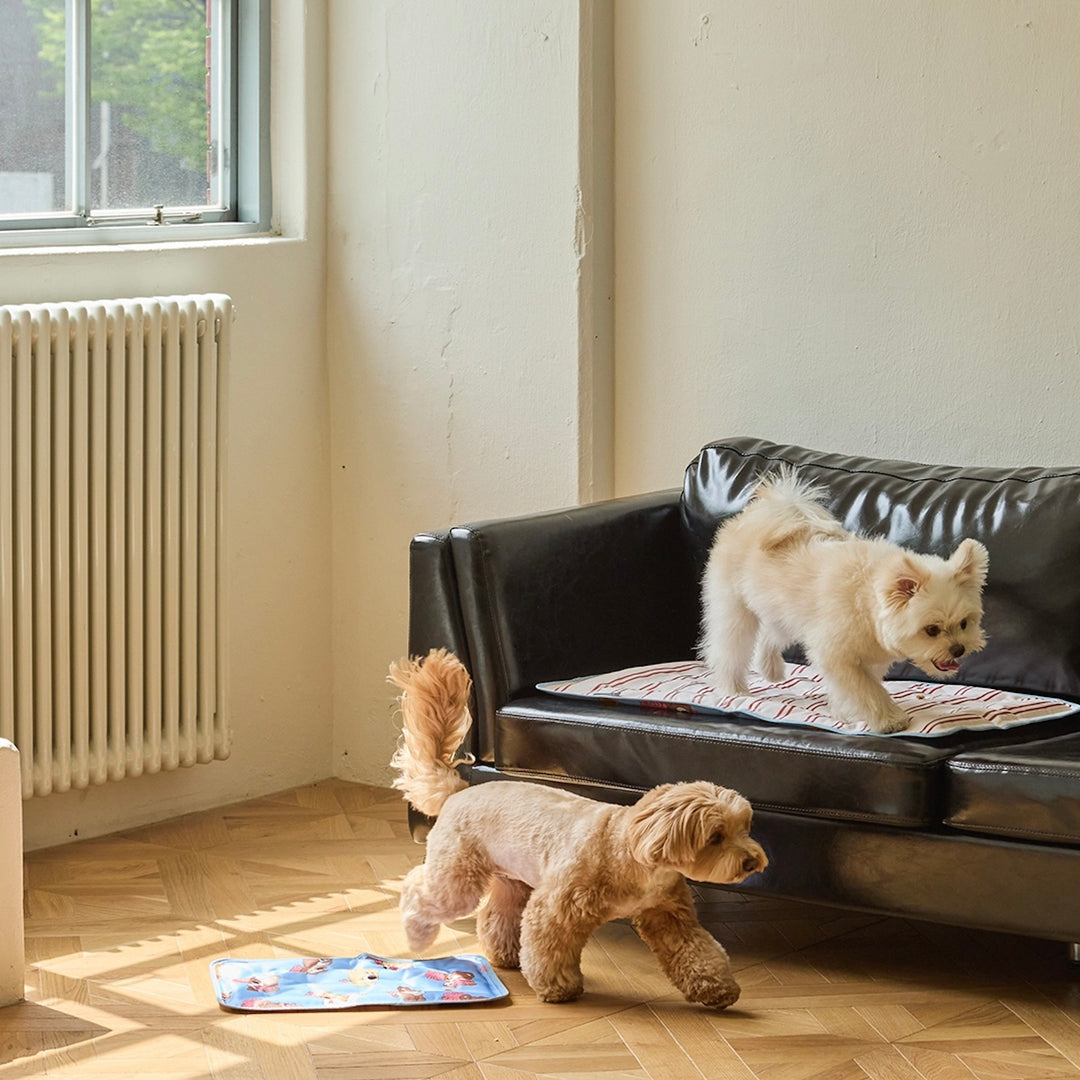 ※予約販売【andblank】Joy Bear Stripe Reversible Cool Mat