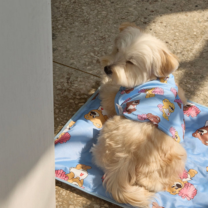 ※予約販売【andblank】Joy Bear Stripe Reversible Cool Mat