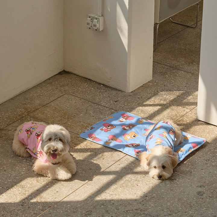 ※予約販売【andblank】Joy Bear Stripe Reversible Cool Mat