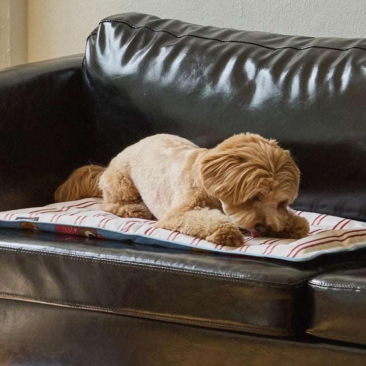 ※予約販売【andblank】Joy Bear Stripe Reversible Cool Mat