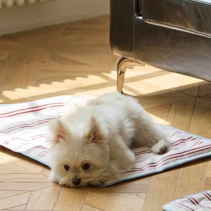 ※予約販売【andblank】Joy Bear Stripe Reversible Cool Mat