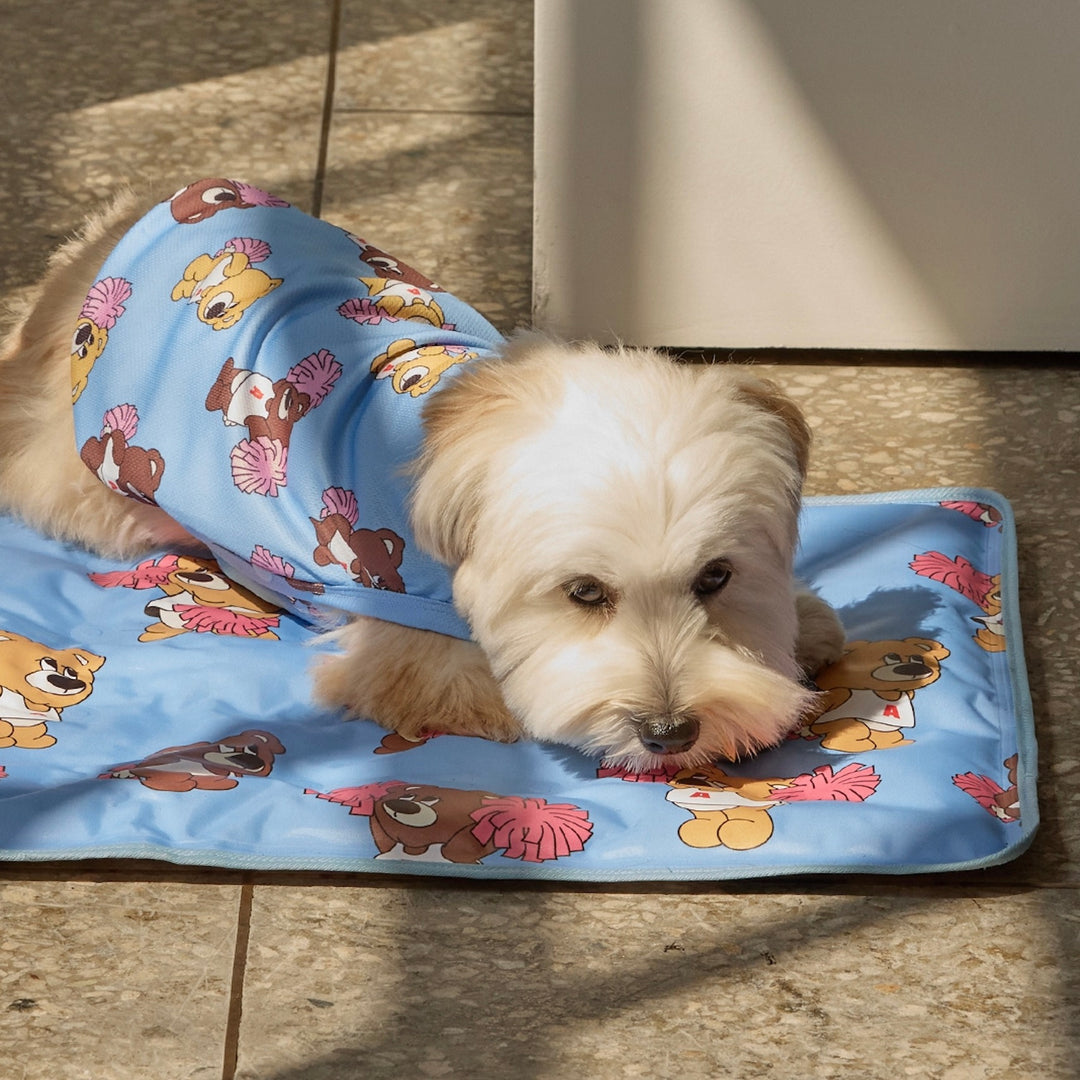 ※予約販売【andblank】Joy Bear Stripe Reversible Cool Mat
