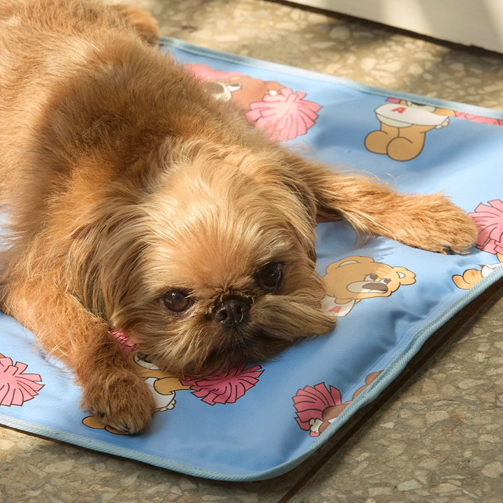 ※予約販売【andblank】Joy Bear Stripe Reversible Cool Mat