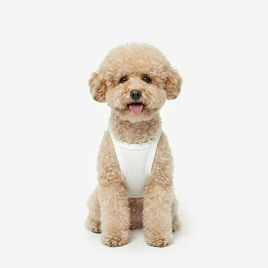 即納【TUSTUS】Cool Top（Ivory）