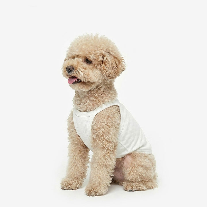 即納【TUSTUS】Cool Top（Ivory）