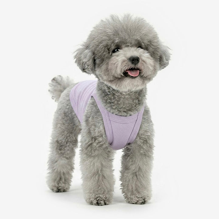 即納【TUSTUS】Cool Top（Violet）
