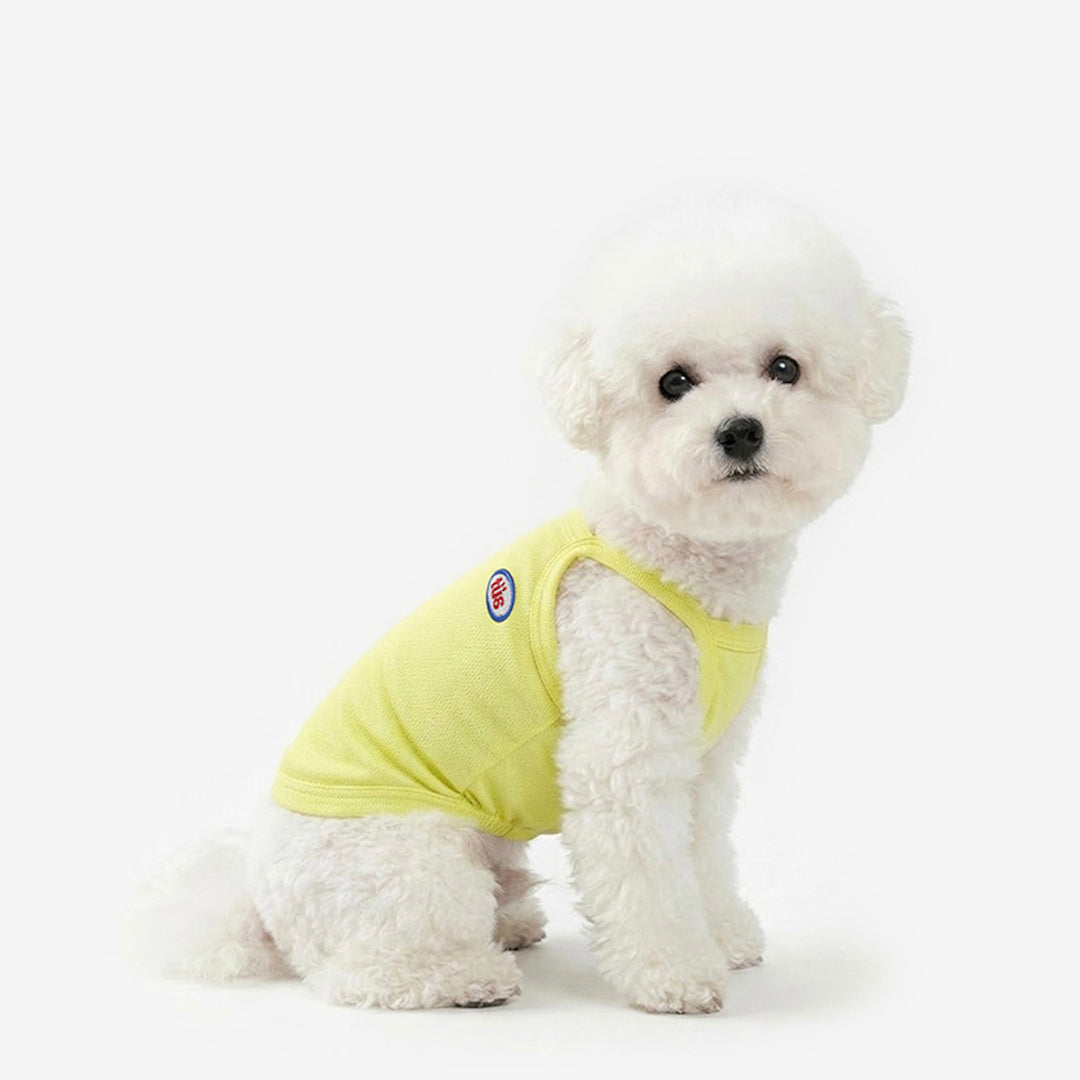 ※予約販売【TUSTUS】Cool Top（Lemon）