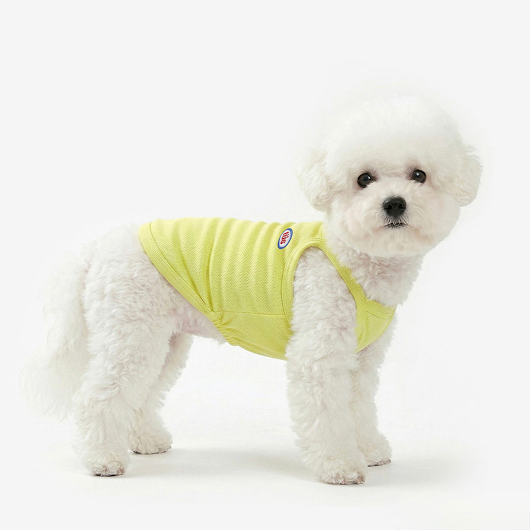 ※予約販売【TUSTUS】Cool Top（Lemon）