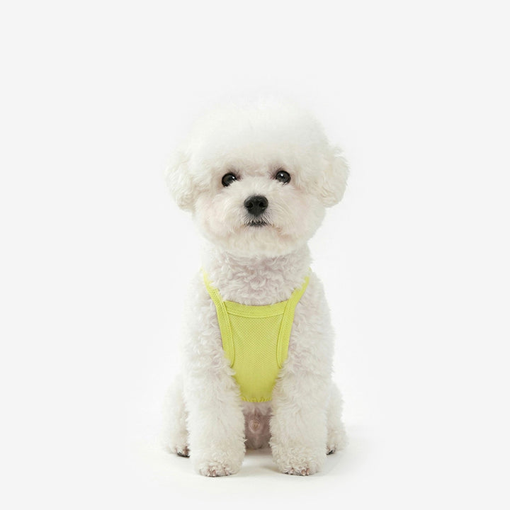 ※予約販売【TUSTUS】Cool Top（Lemon）